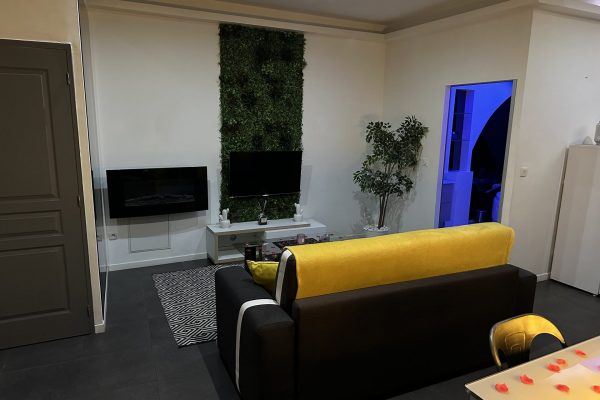 location-loft-garage-lyon-love-room-borabora-12 location-loft-garage-lyon-love-room-borabora-12