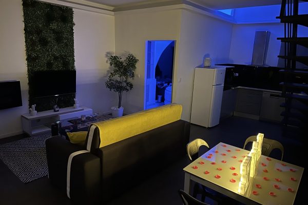 location-loft-garage-lyon-love-room-borabora-5 location-loft-garage-lyon-love-room-borabora-5