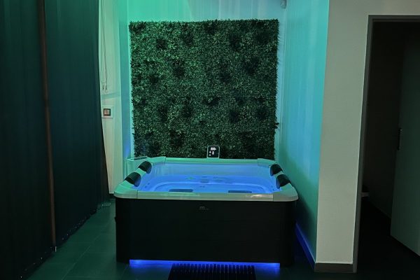 location-villa-piscine-lyon-love-room-borabora-4