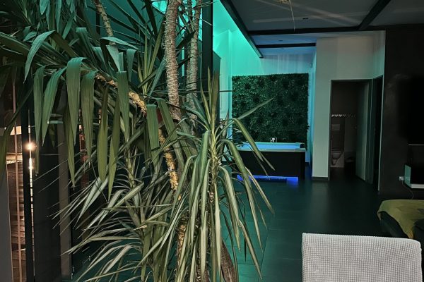 location-villa-piscine-lyon-love-room-borabora-9